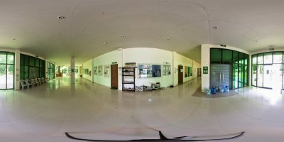 Flora and Fauna Interior